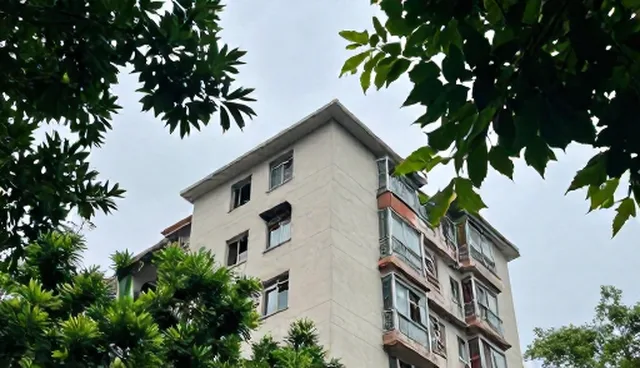 项目进度把控不力，如何通过技术顾问服务优化使用场景