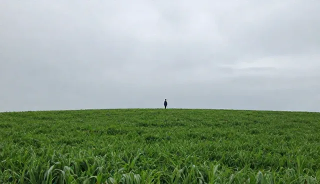 项目管理如何提升客户服务体验